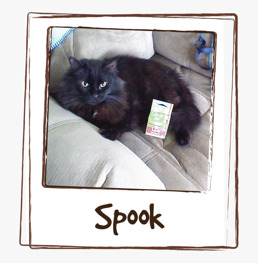 “giving Spook Licks Zen Has Calmed Him Down So He Isn, HD Png Download