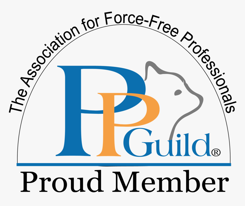 Ppg Professional Member - Graphic Design, HD Png Download