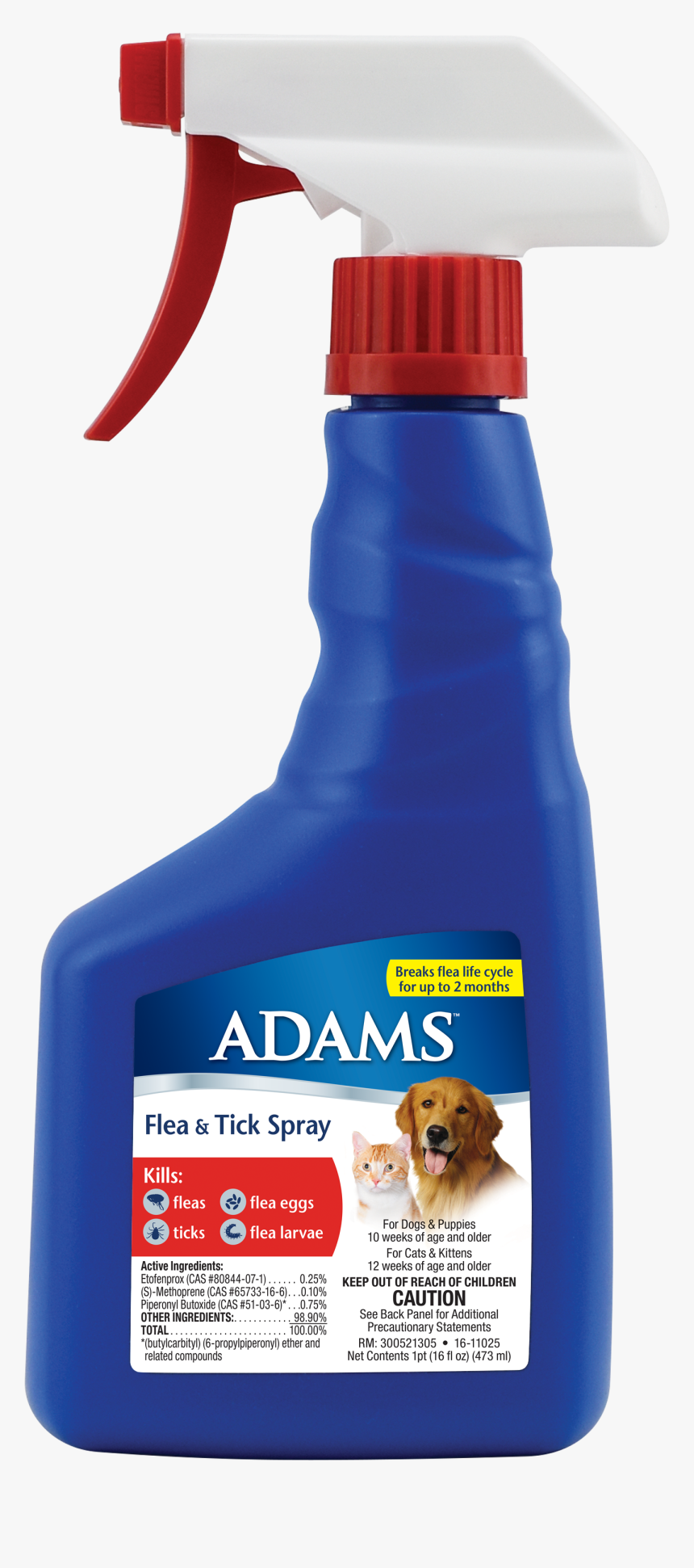 Cat Laying Down Png, Transparent Png