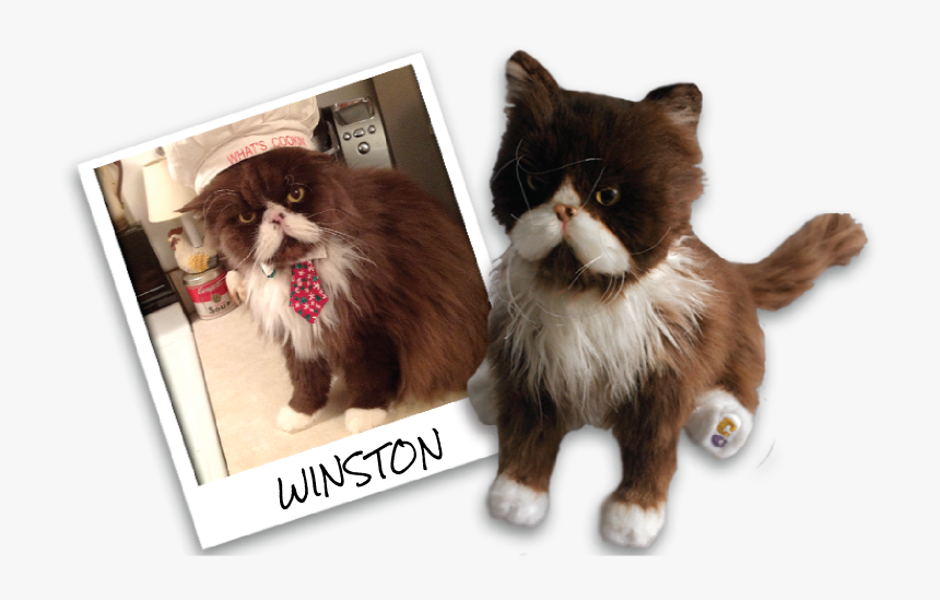 Stuffed Toy, HD Png Download