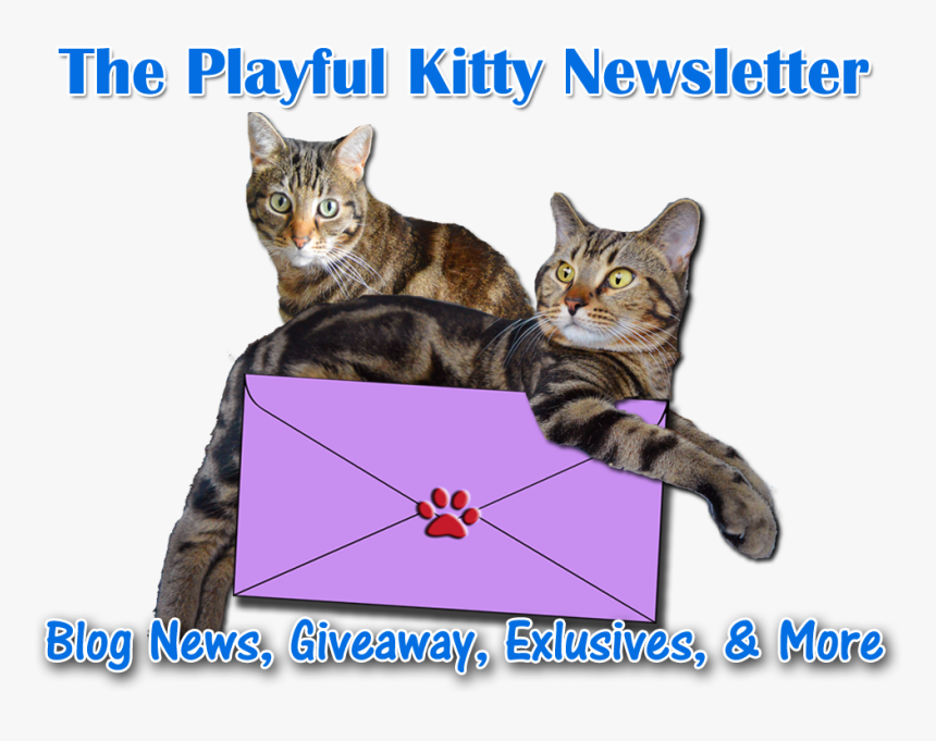 Subscribe To Our Newsletter - Cat Grabs Treat, HD Png Download
