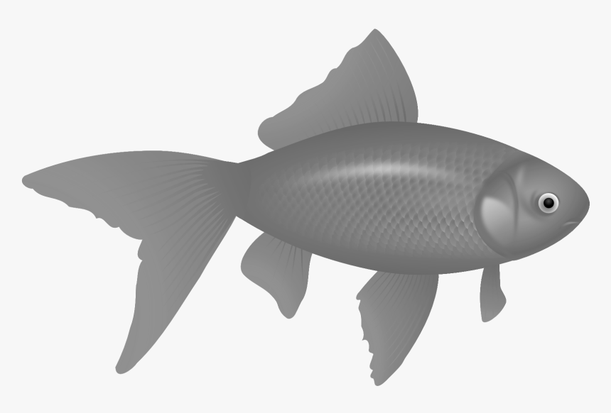 Transparent Background Fish Clipart Free, HD Png Download