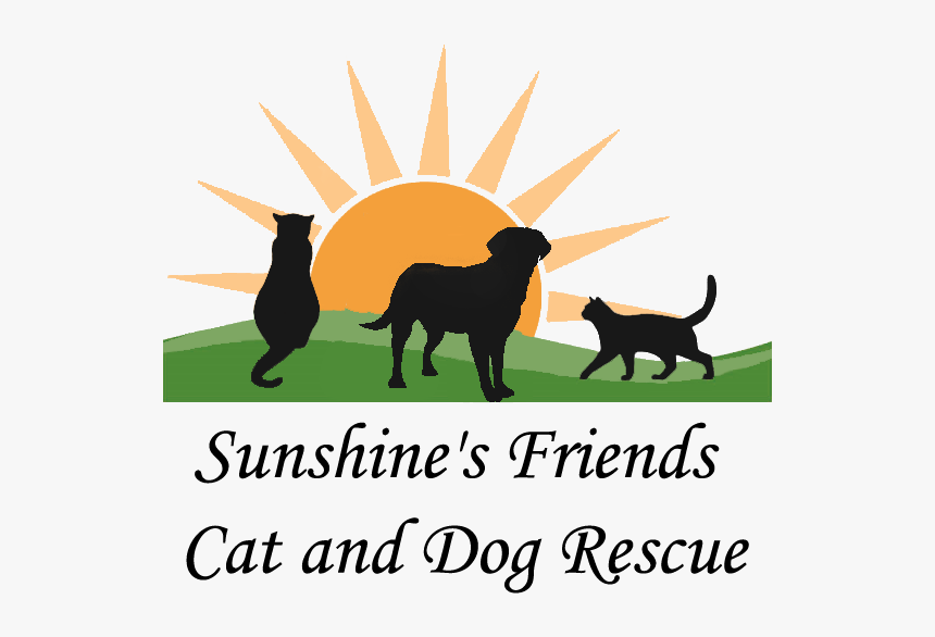 Love Strictly Come Dancing, HD Png Download