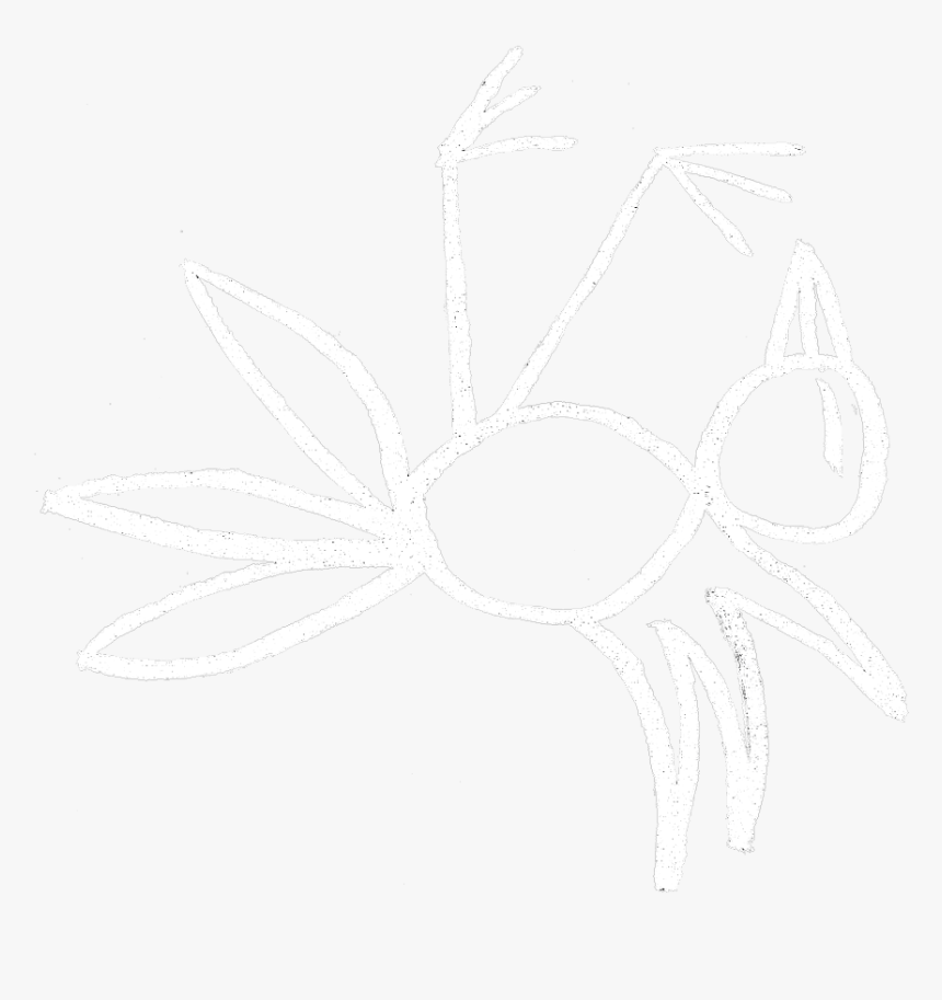 #dead #bird #tshirtdesign #sticker - Pentagram Png White, Transparent Png