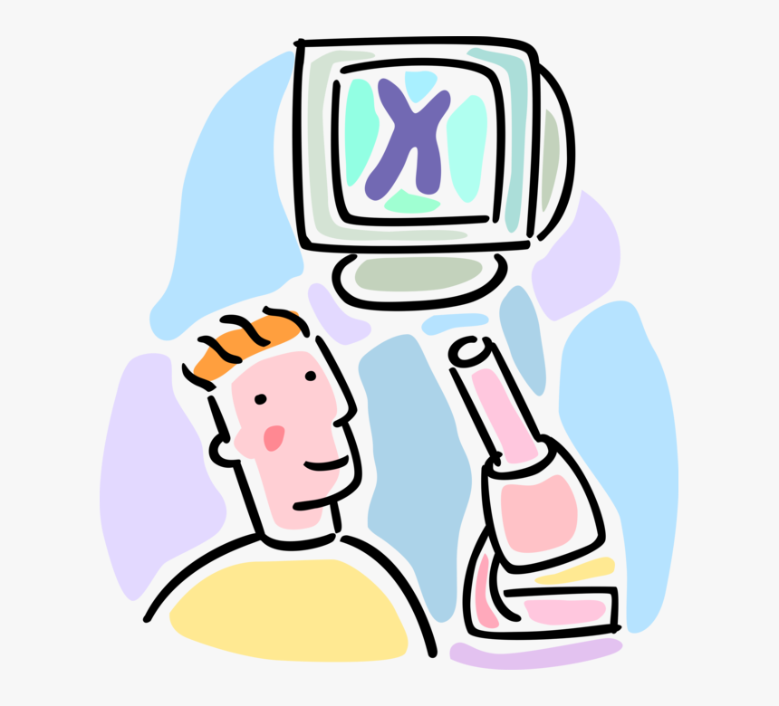 Vector Illustration Of Human Genetics Cytogenetics, HD Png Download