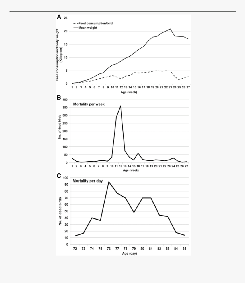 Diagram, HD Png Download