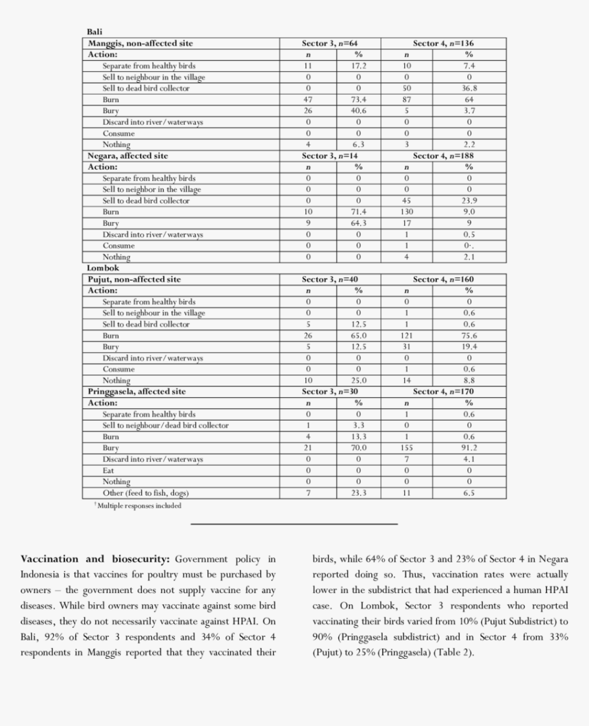 Document, HD Png Download