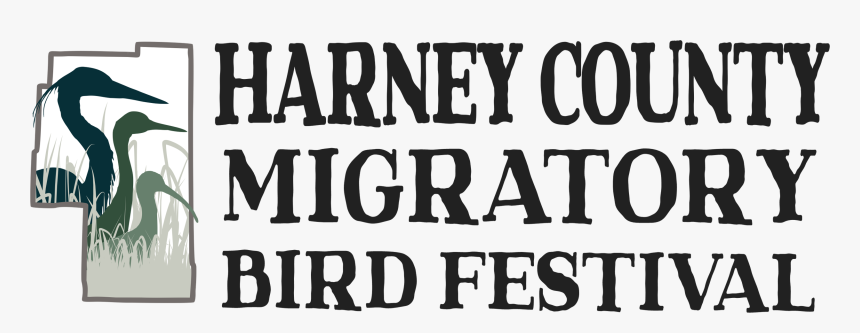 Birdfestivallogo Tribird Grasses Bumpers - Poster, HD Png Download