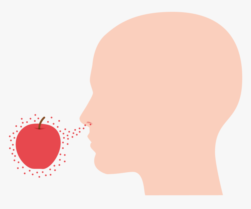 Illustration, HD Png Download