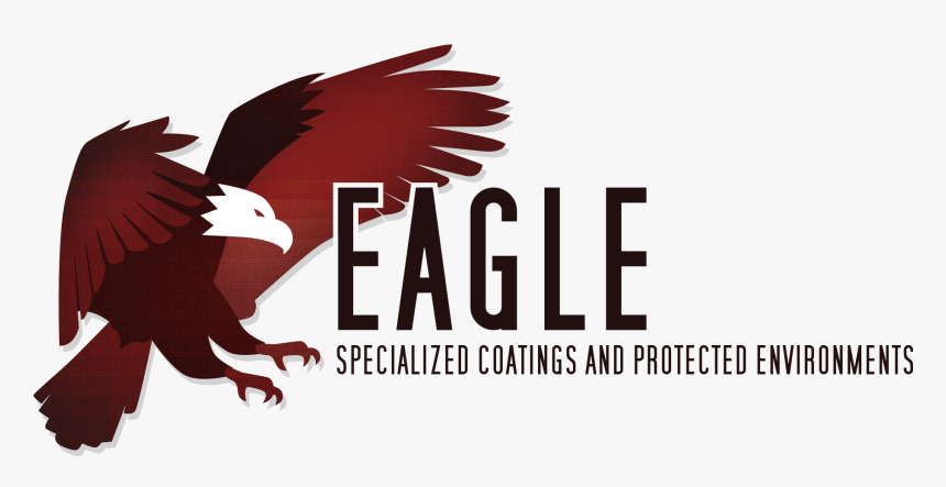 Transparent Bald Eagle Png - Red-tailed Hawk, Png Download