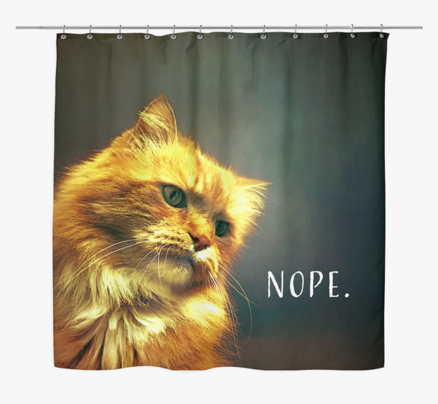 Transparent Gold Curtains Png - Kitten, Png Download