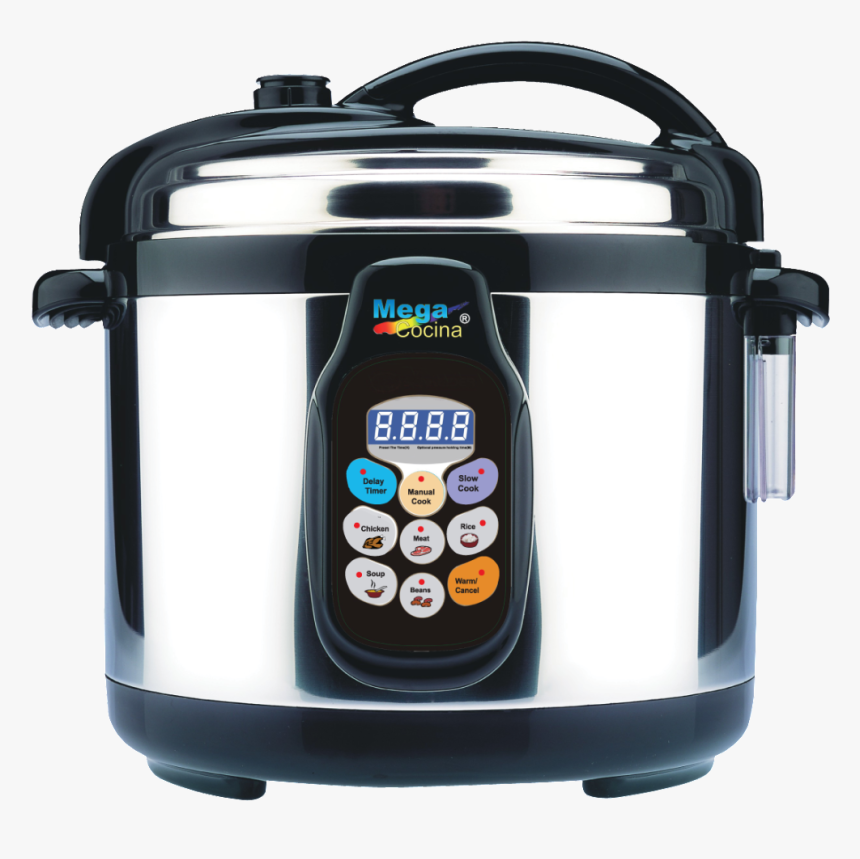 Transparent Arbol Png Transparente - Olla Reina Valsan, Png Download