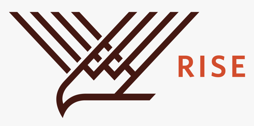 Orange, HD Png Download