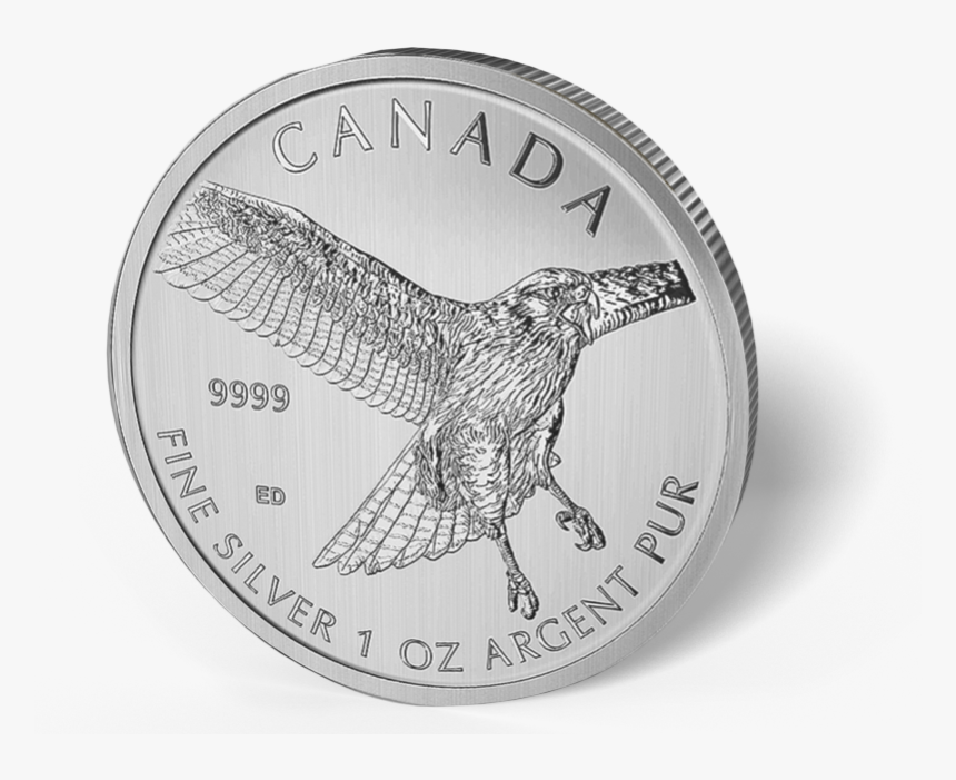 2015 Canadian 1oz Silver Red Tailed Hawk $5 Coin, HD Png Download