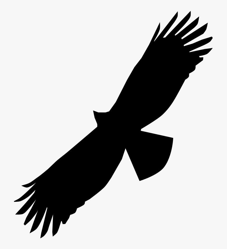 Black Eagle Bird Of Prey Bald Eagle Beak - Swainson Hawk Silhouette, HD Png Download