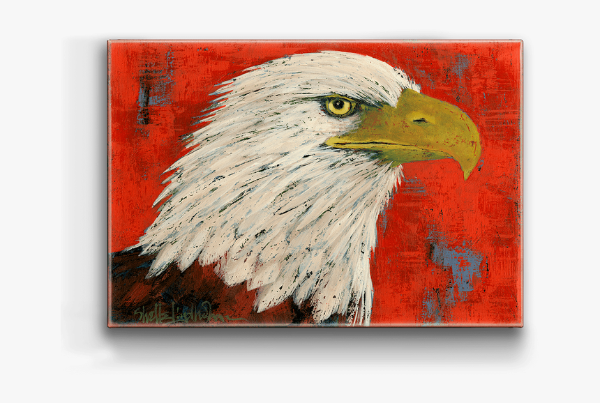 Bald Eagle, HD Png Download
