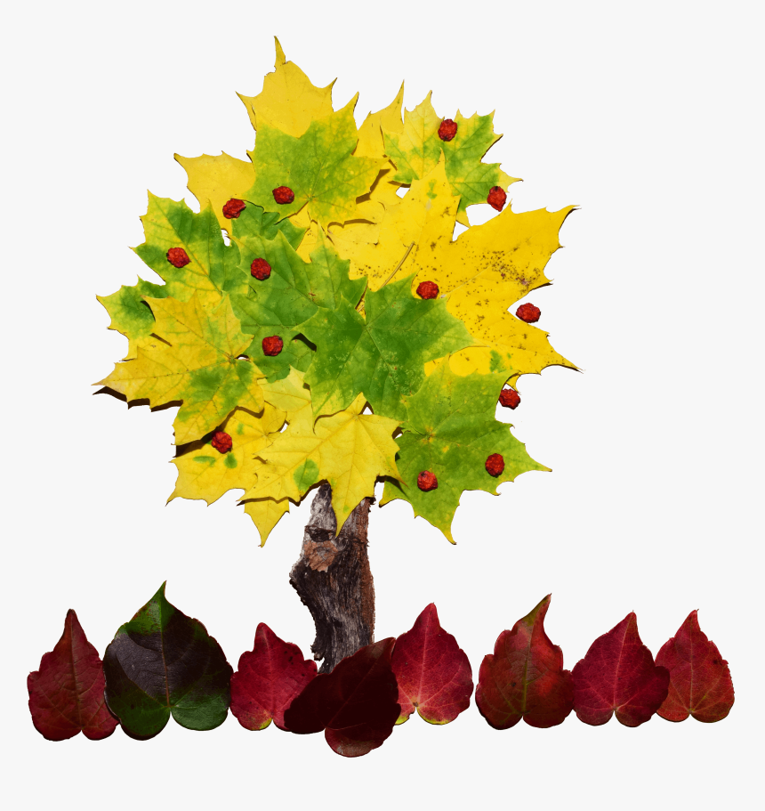 Collage De Un Arbol, HD Png Download