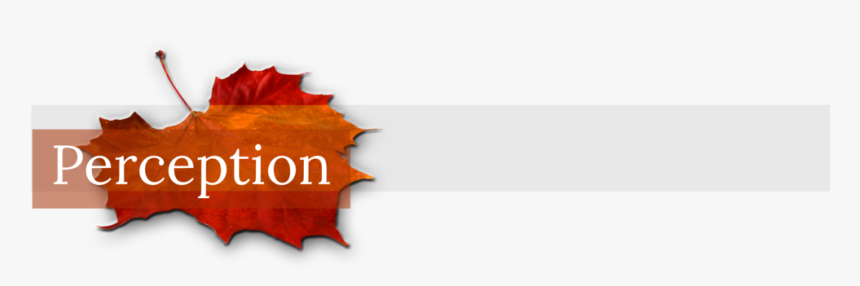 15777b6f 6d32 4af9 Aece 1d64a2ebedf6 - Fall Leaf, HD Png Download