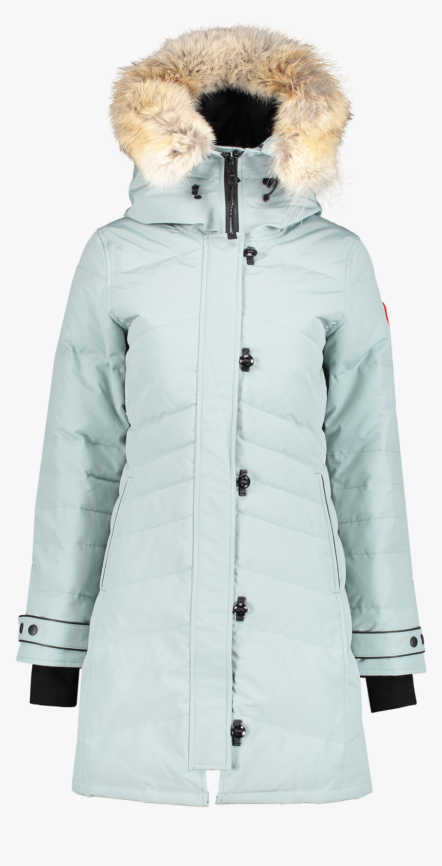 Canada Goose, HD Png Download