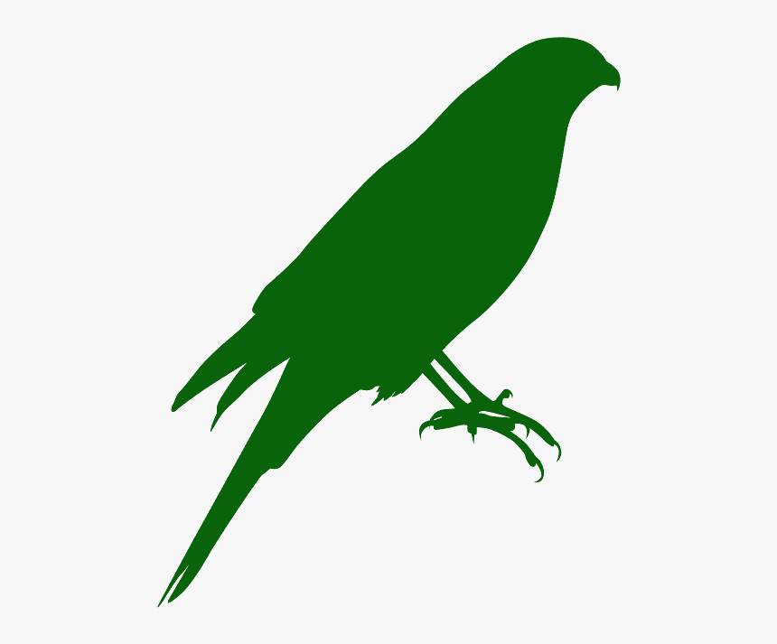 Parrot, HD Png Download