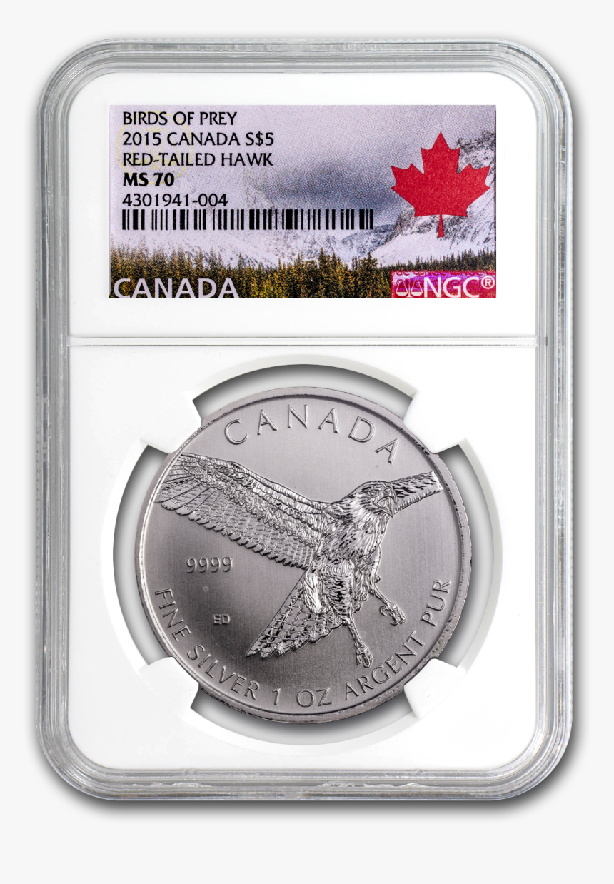 Silver, HD Png Download