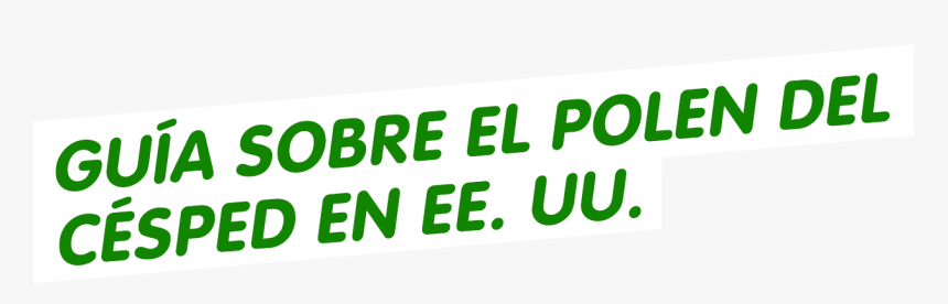 Guía Estadounidense Sobre La Alergia Al Polen Del Césped, HD Png Download