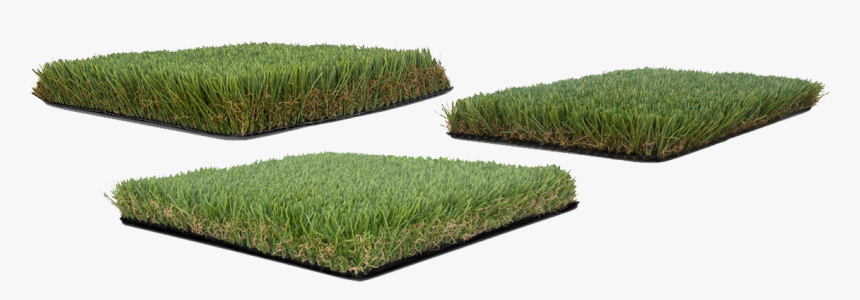 Lawn, HD Png Download