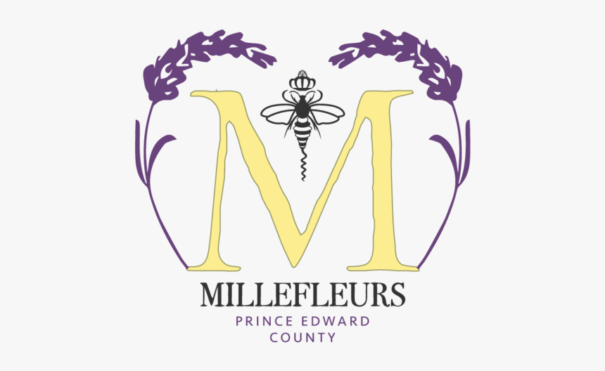 Lavander Png, Transparent Png