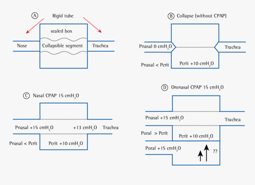 Diagram, HD Png Download