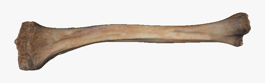 Bone Png - Splitting Maul, Transparent Png