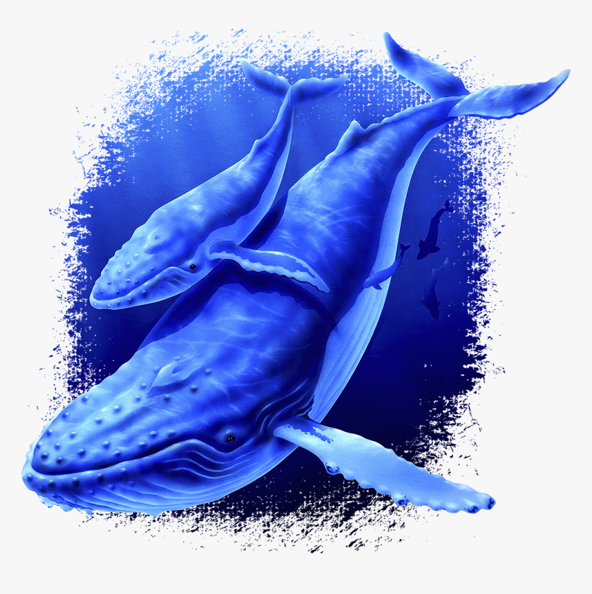 Whale Fabric, Humpback Whale And Baby Fabric Panel1125, HD Png Download