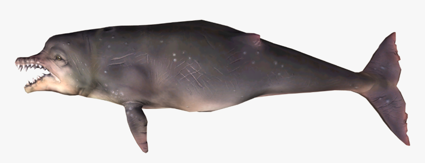 Fallout 4 Dead Dolphins, HD Png Download