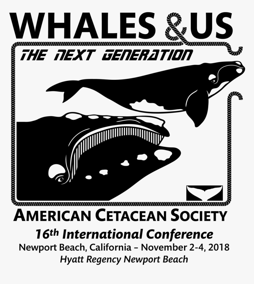Whales And Us - American Cetacean Society, HD Png Download