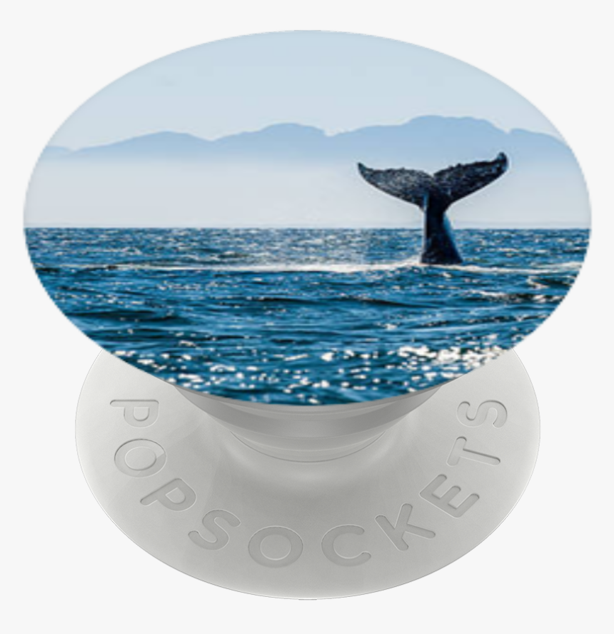 Sea, HD Png Download