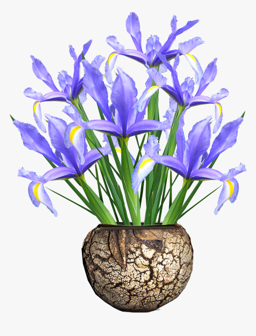 Vase , Png Download - Flower Vase Png Hd, Transparent Png