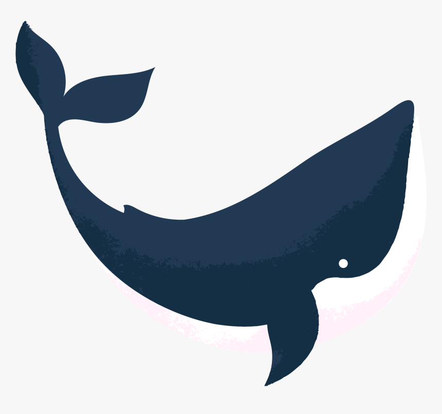Orca Reviewed By Abbie Cheesman At Whale And Dolphin, HD Png Download
