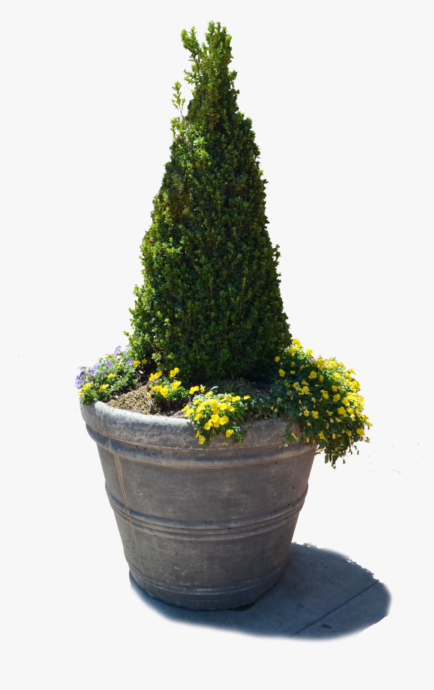 Download Free Png Transparent Image And Flowers Ⓒ, Png Download