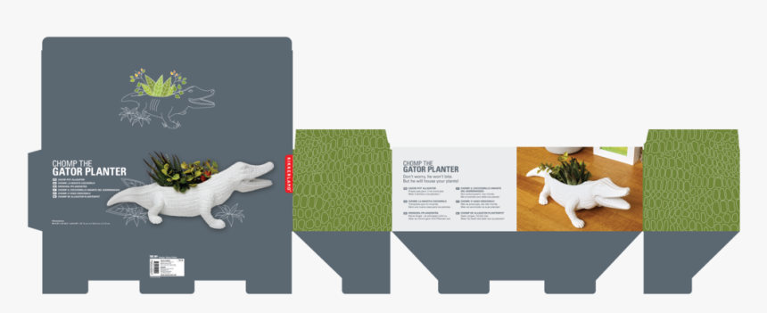 Kikkerland Crocodile Planter Dieline - Graphic Design, HD Png Download