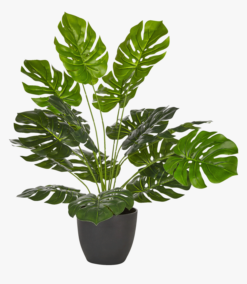 Philodendron Artificiel En Pot H50cm-philo - Flowerpot, HD Png Download