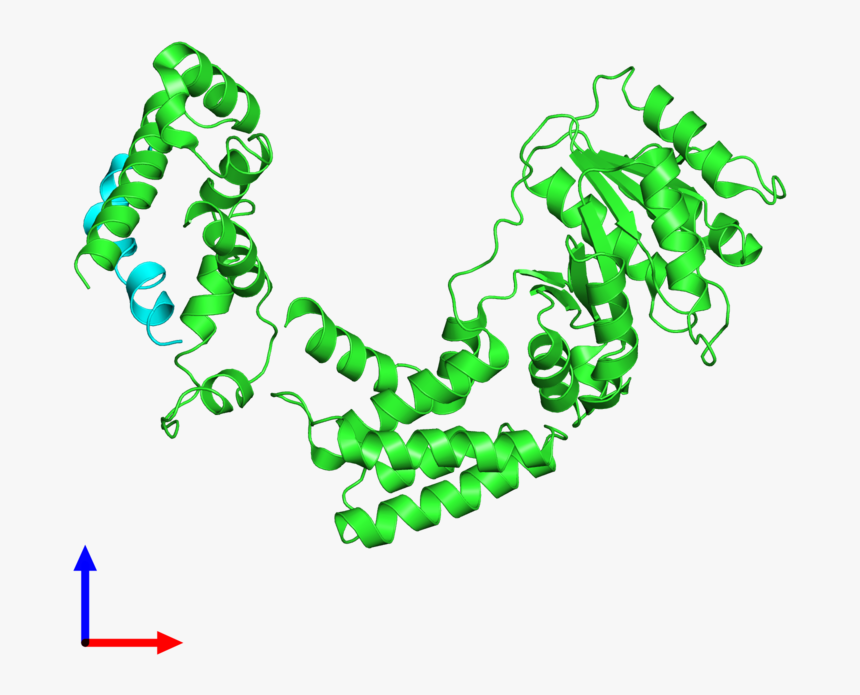 Clip Art, HD Png Download