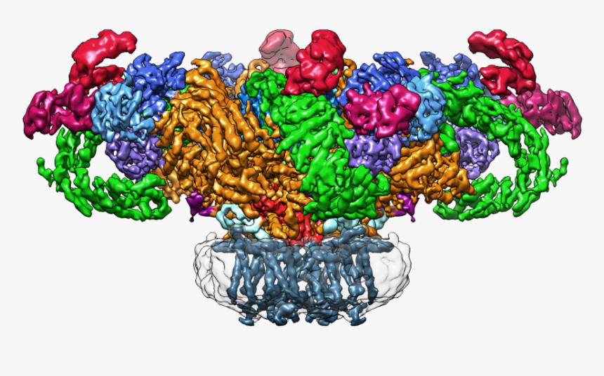 Ion Channel Nanodisc Cryo Em, HD Png Download