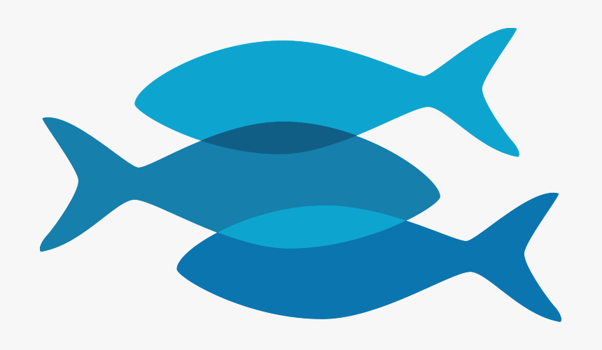 Omega3, HD Png Download