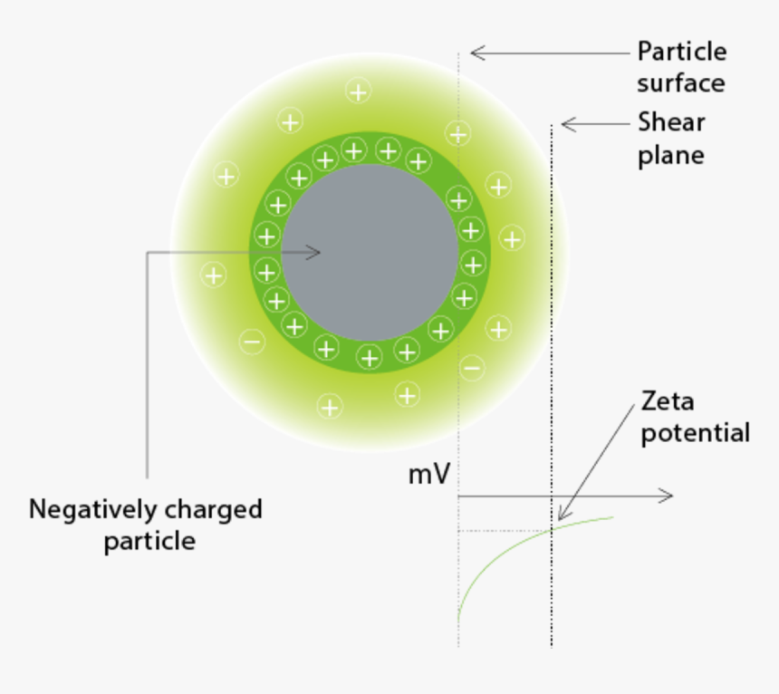 Limit Of Zeta Potential, HD Png Download