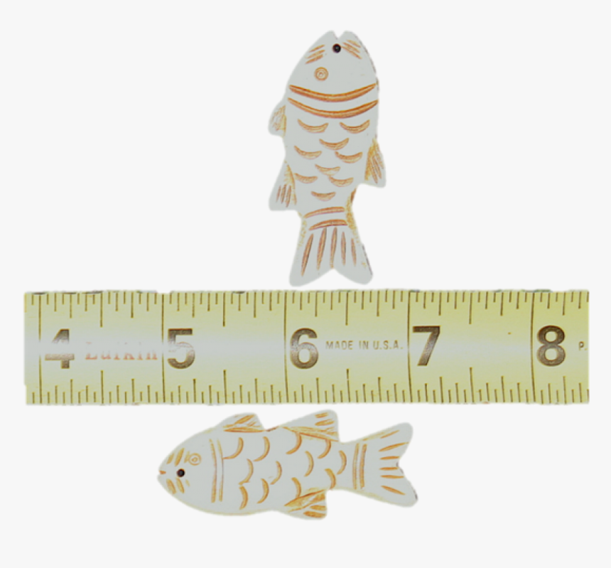 Real Bone Carved Fish - Ruler, HD Png Download
