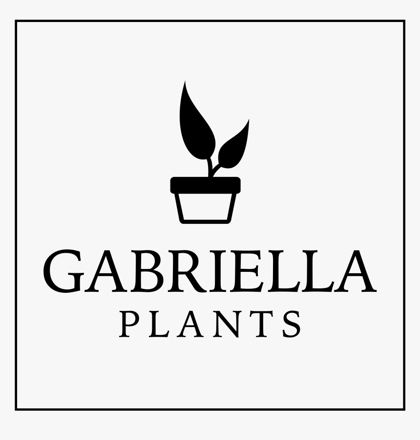 Gabriella Plants, HD Png Download