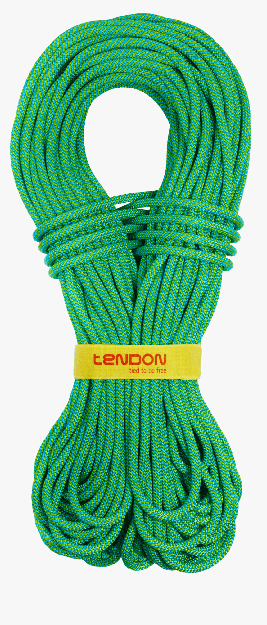 Tendon Master - Tendon, HD Png Download