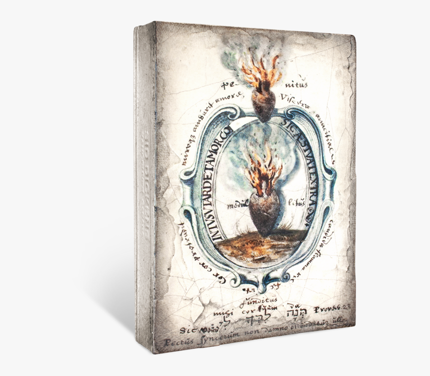 Visual Arts, HD Png Download
