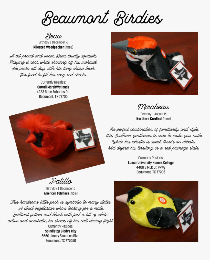 Birdies1 - Flyer, HD Png Download