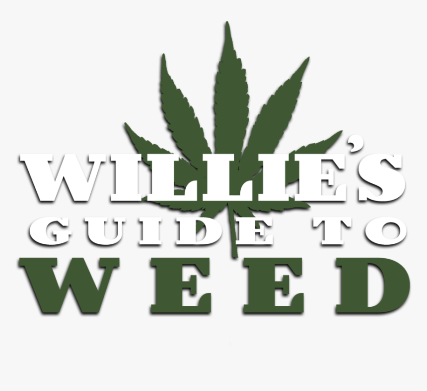 Williesguide 2 - Illustration, HD Png Download