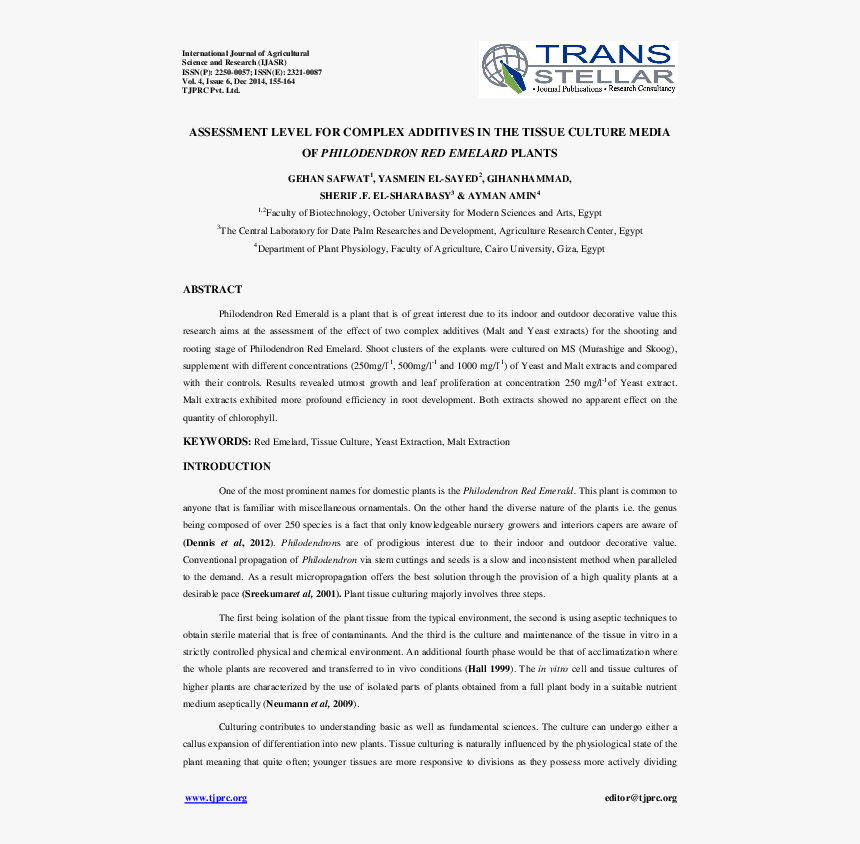 Document, HD Png Download